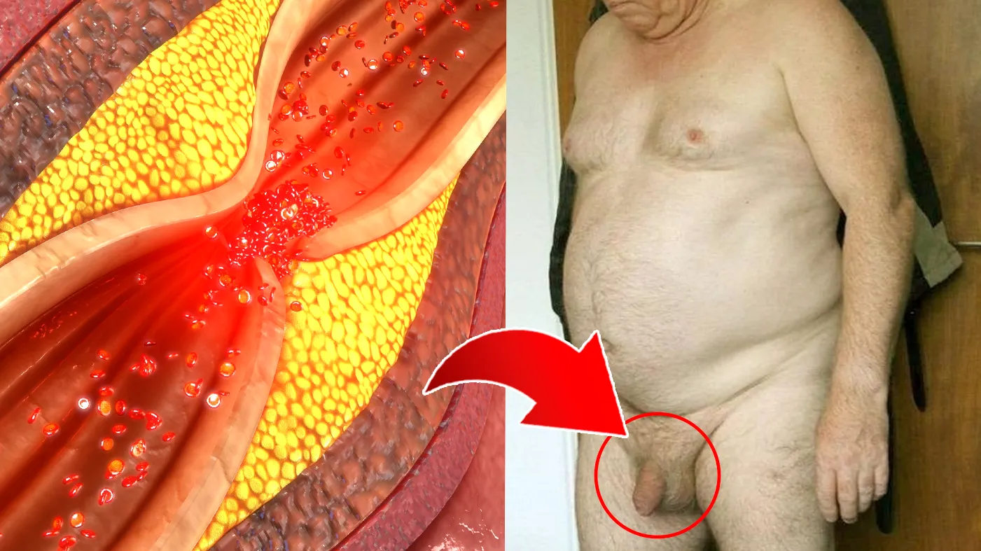 M3 VEIAS ENTUPIDAS | HOMEM BROXA